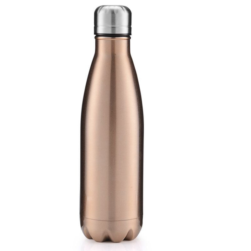 Stainless Steel Bottle