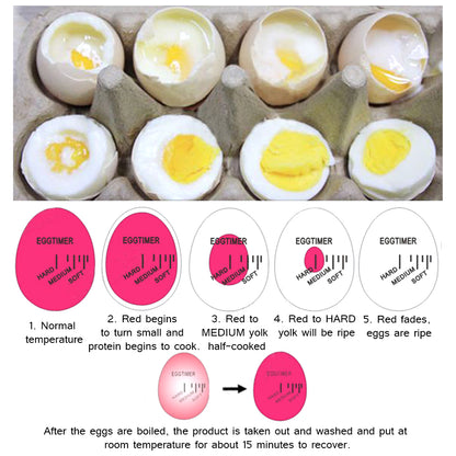 Egg Timer Perfect Color Changing