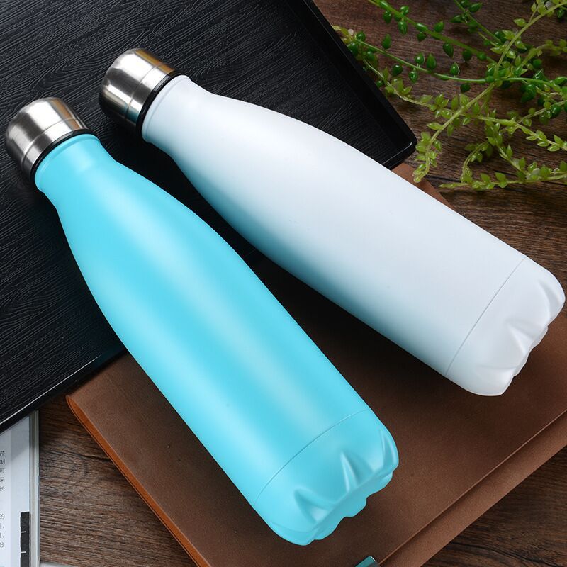 Stainless Steel Bottle