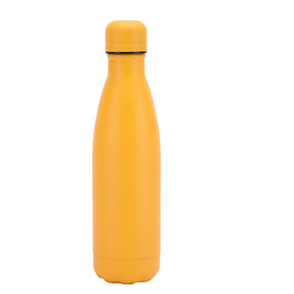 Insulated Stainless Steel Water Bottle