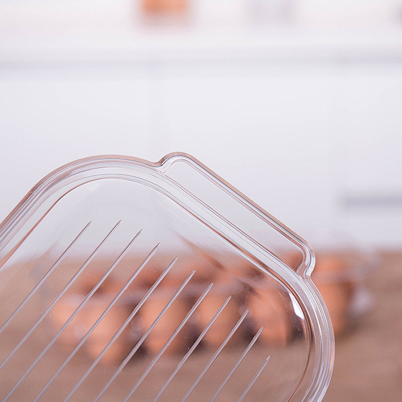 Refrigerator  Egg Storage Box