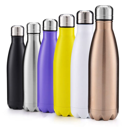 Stainless Steel Bottle