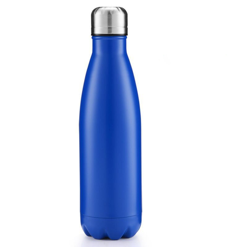 Stainless Steel Bottle