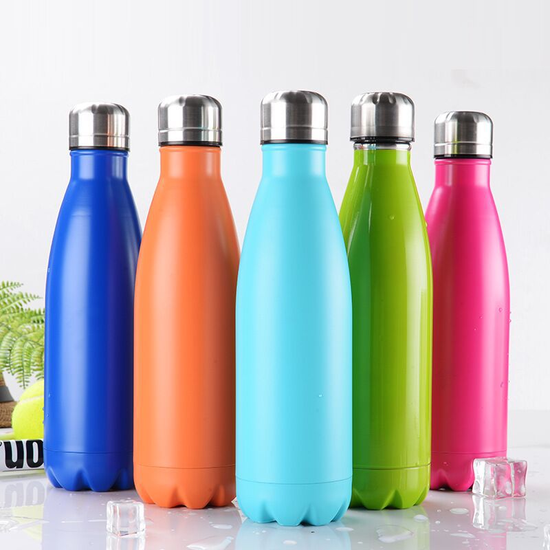 Stainless Steel Bottle