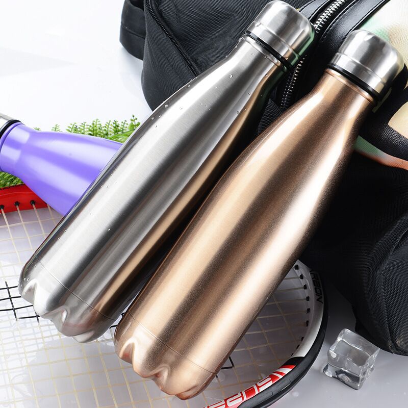 Stainless Steel Bottle