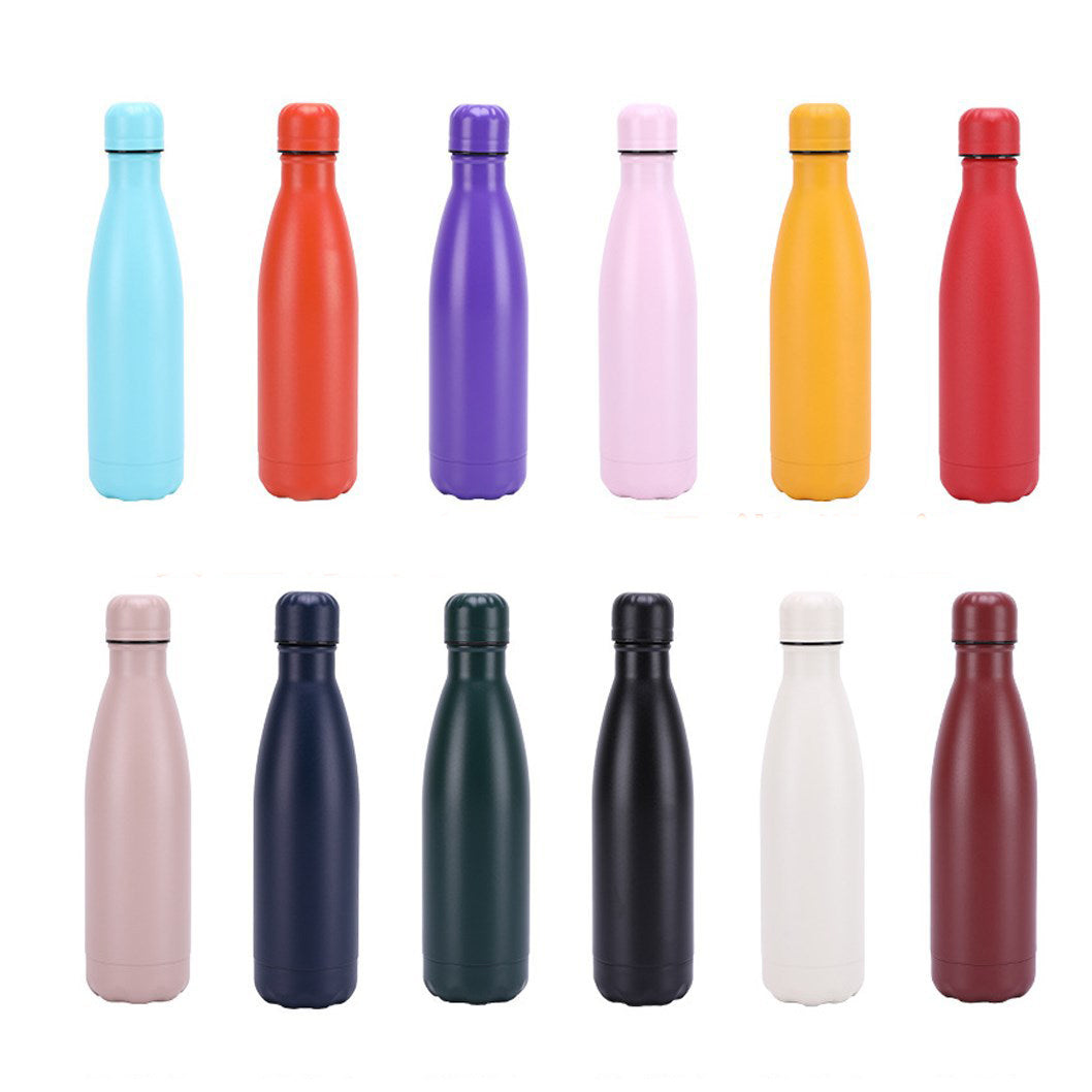 Insulated Stainless Steel Water Bottle