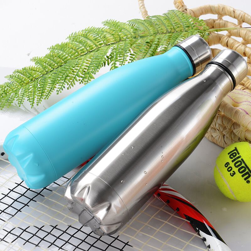 Stainless Steel Bottle