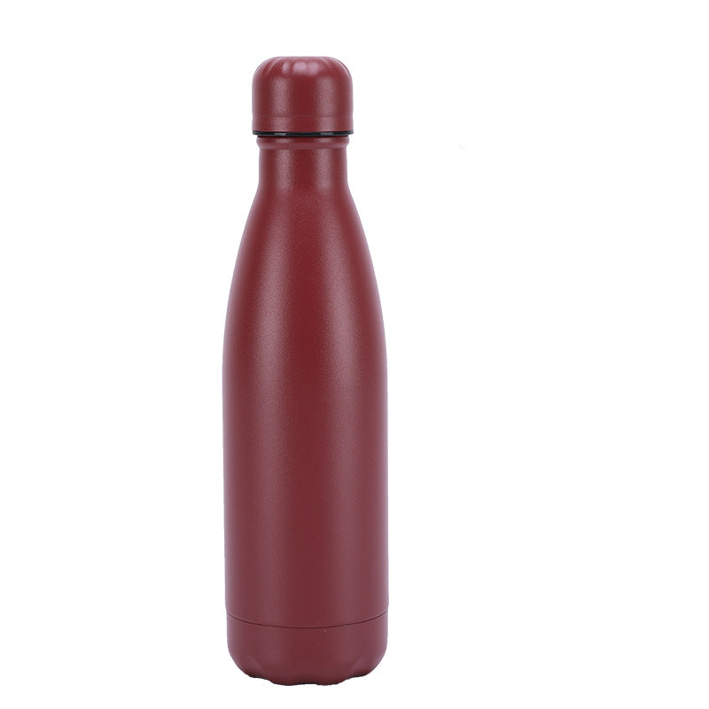 Insulated Stainless Steel Water Bottle