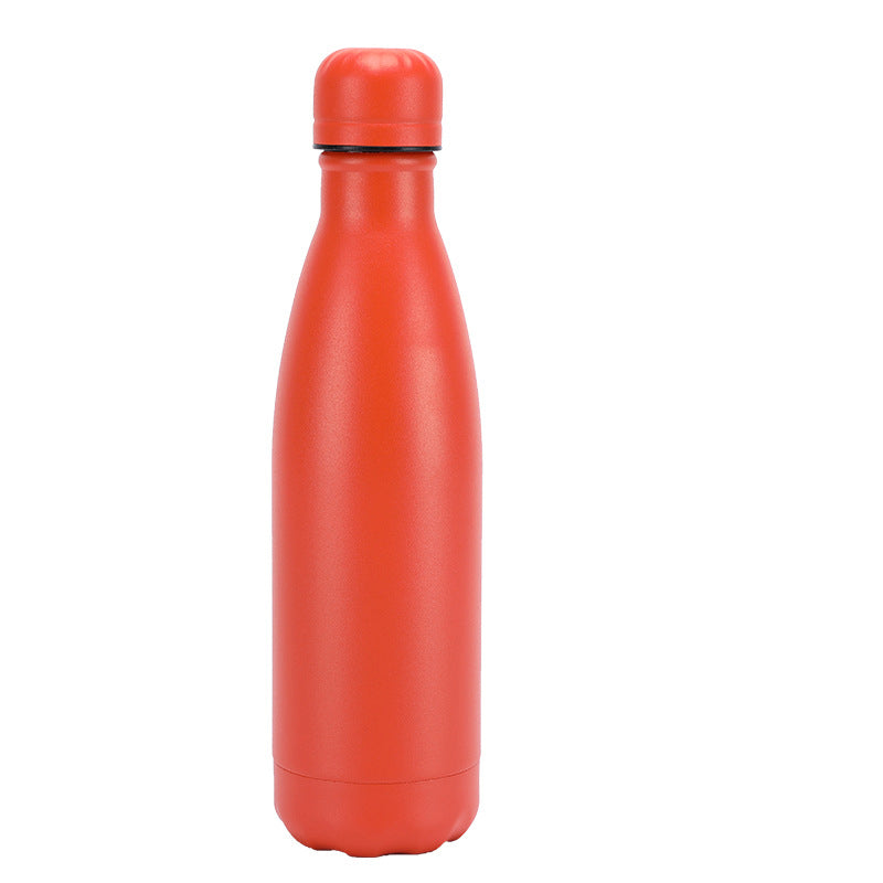 Insulated Stainless Steel Water Bottle