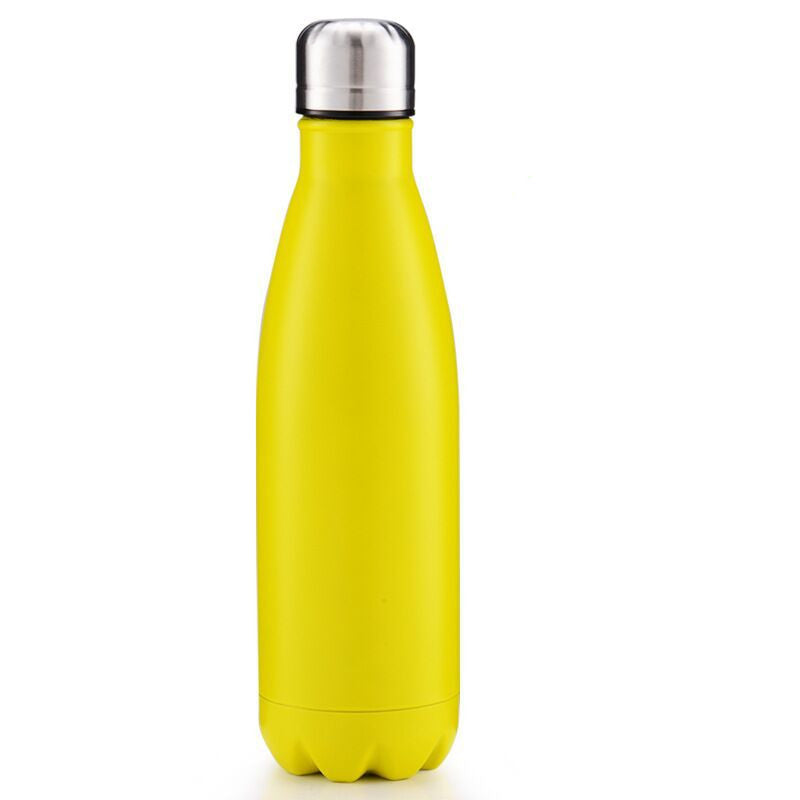 Stainless Steel Bottle