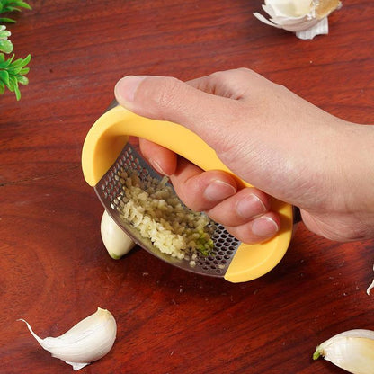 Stainless Steel Garlic Masher_Garlic Presser