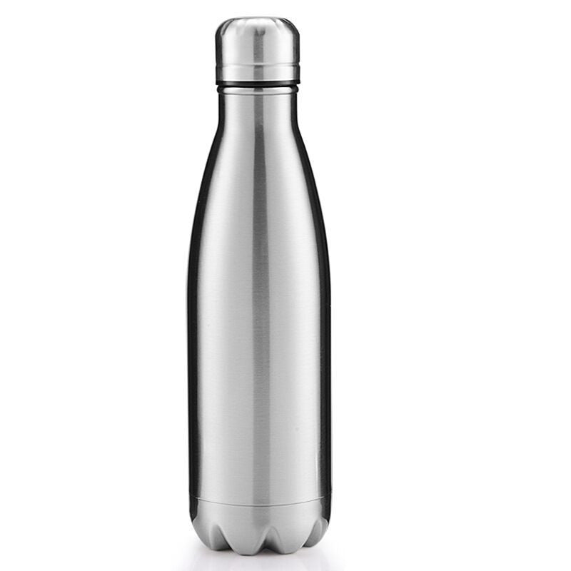 Stainless Steel Bottle