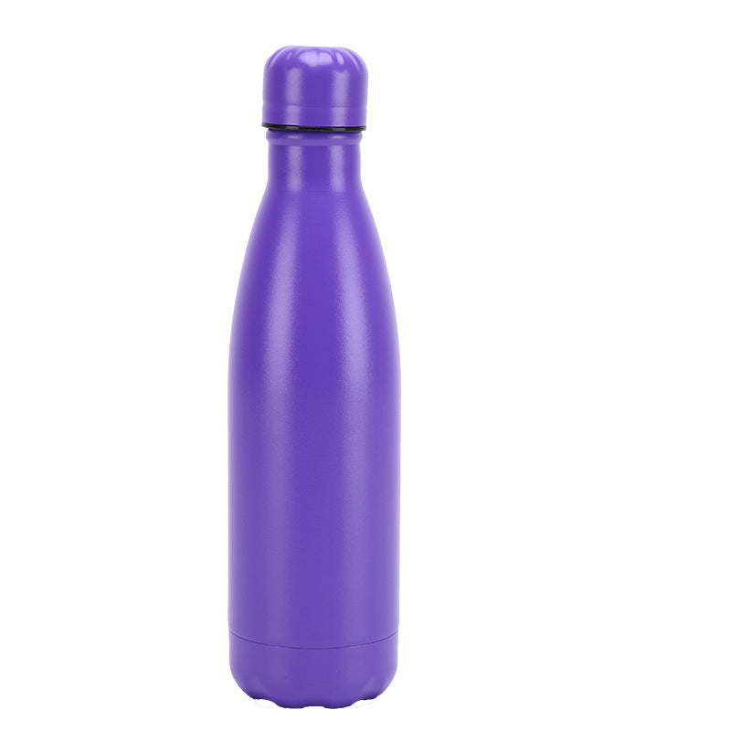 Insulated Stainless Steel Water Bottle