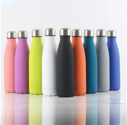 Insulated Stainless Steel Water Bottle